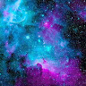 Meet your Posher, Karla